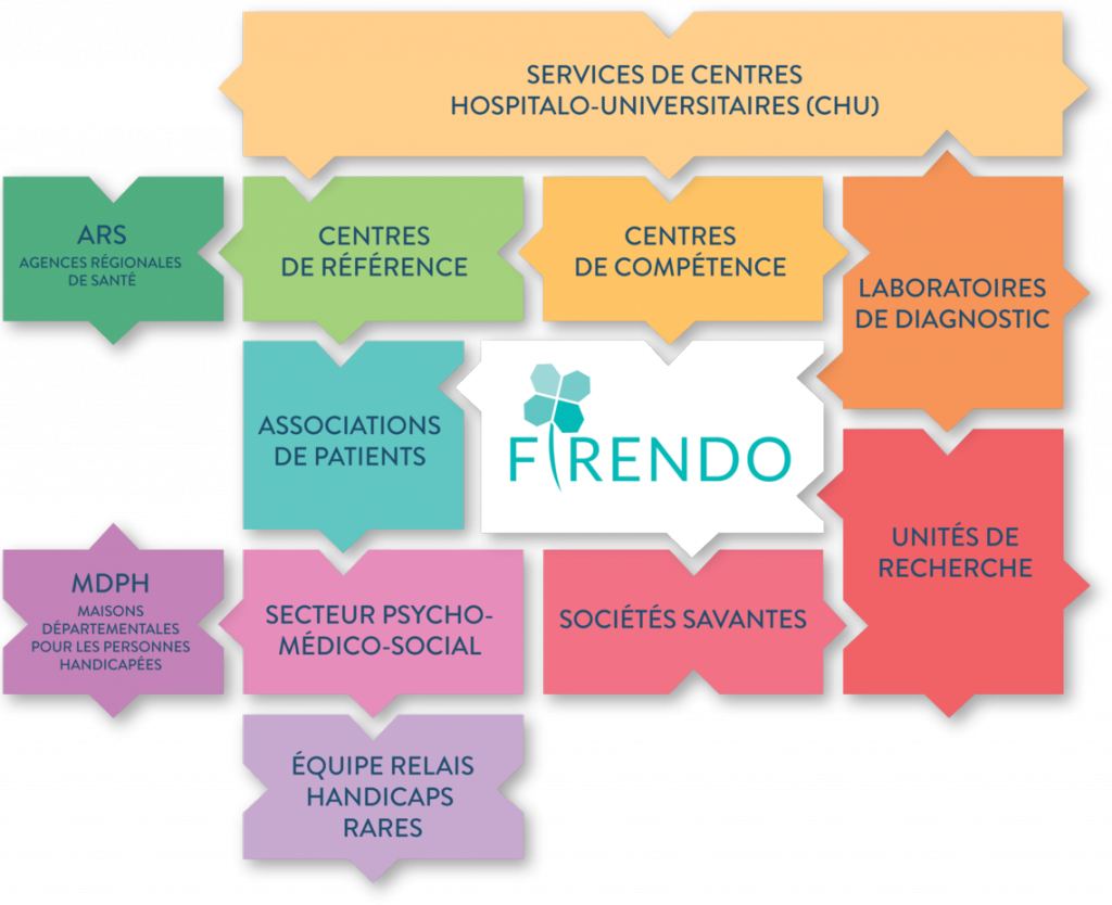 Schéma des partenaires de la filière FIRENDO