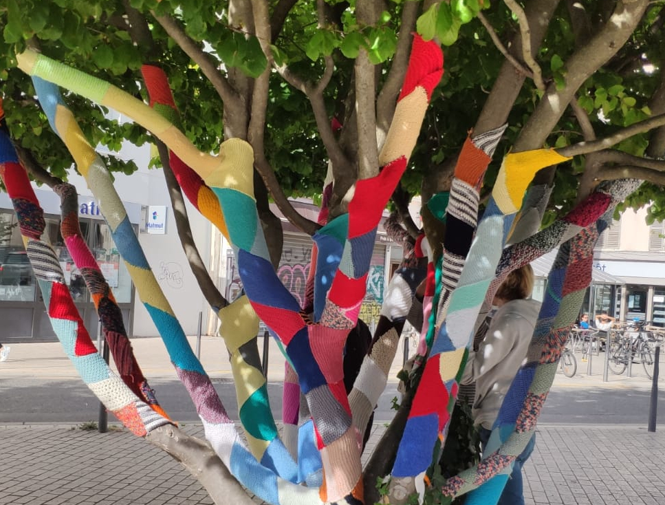 Yarn bombing sur un arbre multi-troncs