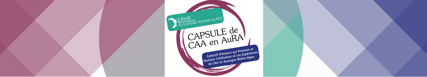 Bannière avec au centre le logo du collectif CAAPSULE de CAA